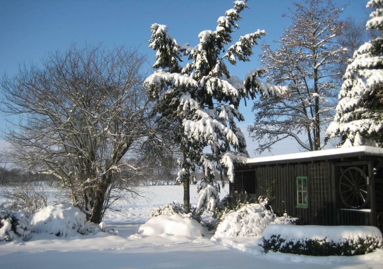 Ferienhaus Uchte / Darlaten 빌라 외부 사진